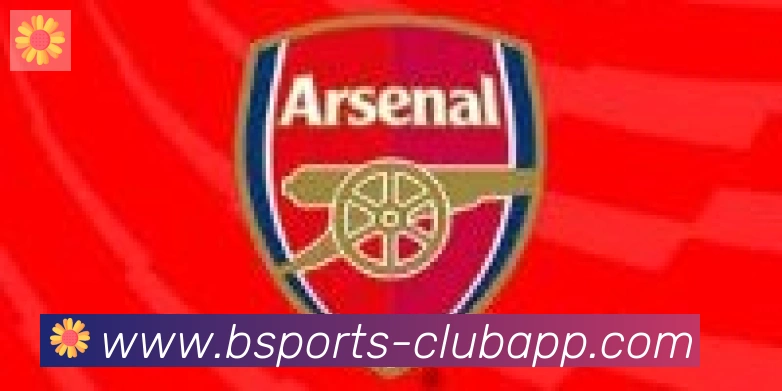 bsports体育合作伙伴