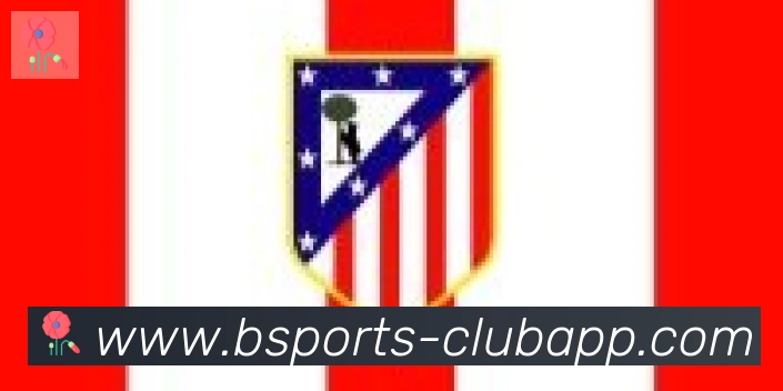 bsports体育合作伙伴