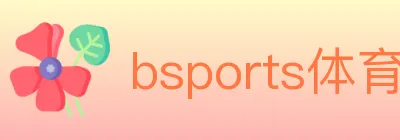 bsports体育 logo
